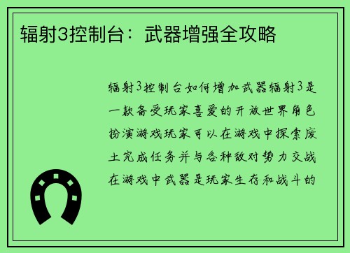 辐射3控制台：武器增强全攻略